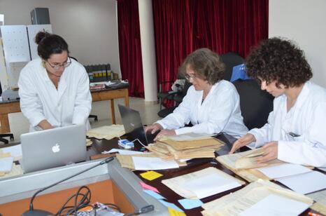 Participants au chantier des collections - Photo : Séverine Blenner-Michel / INP