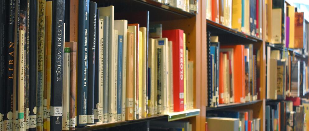 Les rayonnages du CRD - Photo : Andréa Pastor / INP