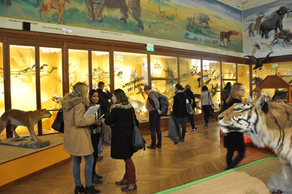 Visite du Museum de Marseille, Séminaire des élèves conservateurs de la promo Hugo Pratt (2019) - Photo : INP / Patrick Dumeix