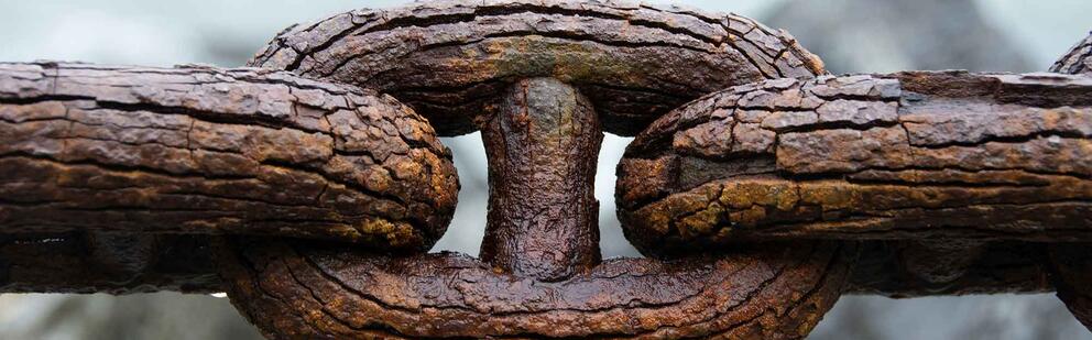 photo crédit shaojie